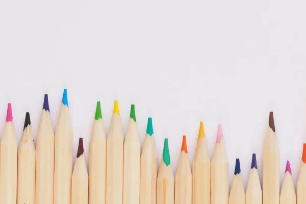 Servizio Orientamento scolastico per gli istituti comprensivi