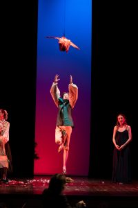 foto spettacolo IL RE DEI PAVONI