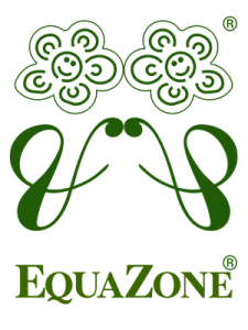 Logo Equazone
